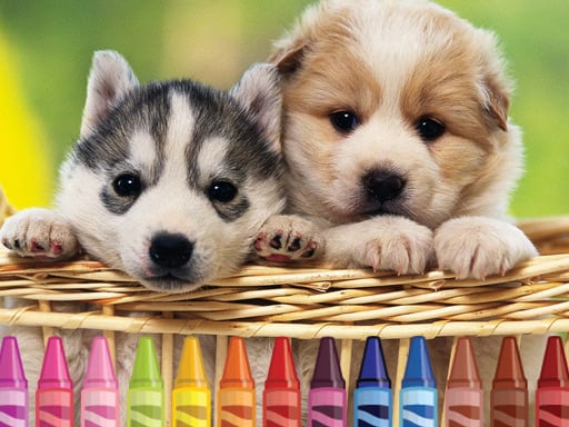 4GameGround – Puppy Coloring