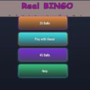 BINGO Real 7 bingo real 1