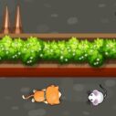 Cat Trap Labyrinth Escape 10 cat trap labyrinth escape 2