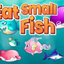 Eat Small Fish 6 eat small fish 1