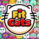 Fit Cats 4 fit cats 1