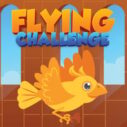 Flying Challenge 10 flying challenge 1