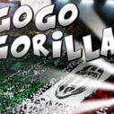 Go Go Gorilla 8 go go gorilla
