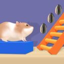 Hamster Stack Maze 5 hamster stack maze