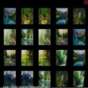 memorize nature 4 memorize nature