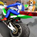 Motorcycle Pet Delivery 5 motorcycle pet delivery
