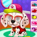 My Puppy Daycare Salon 8 my puppy daycare salon 2