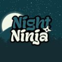 Night Ninja 4 night ninja 1