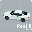 Real Car Parking 3D 8 real car parking 3d