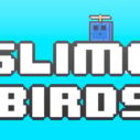Slime Birds 4 slime birds